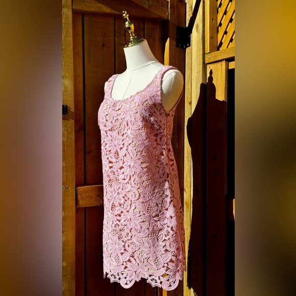 🆕 SELF PORTRAIT 🧿 NWOT Floral Lace Mini Shift Dress, Sz US 4 / UK 8 - Picture 5 of 16